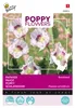 Buzzy Poppy Flowers Graines de pavot à opium - Environ 1 gr Voir les images du produit 4