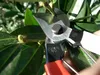 Okatsune Gartenschere Modell 103, ultra-scharf, präziser Produktbild-Vorschau 3