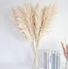 set di 10 erbe di pampa XXL (100 cm) per decorazioni boho - Anteprima dell’immagine prodotto 6