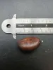 Sapote nero (Diospyros digyna)  - 3 semi Anteprima dell’immagine prodotto 5
