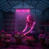 LED Pflanzenlampe 1000W Vollspektrum Panel, 225 LEDs Grow Produktbild-Vorschau 10