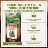 Green Home Kakteen & Sukkulenten Erde 36 L – mit Perlit, Produktbild-Vorschau 2