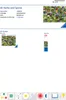 99 Kräuter und Gewürze Ravensburger 12000073 Produktbild-Vorschau 6