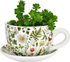 Vase ou cache pot en forme de tasse fleur grasse Voir les images du produit 1