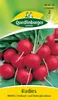 Radies Rodos | Radieschensamen von Quedlinburger Produktbild-Vorschau 3