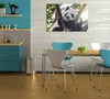 Wallario Premium Leinwandbild Schlafender Panda in einem Produktbild-Vorschau 2