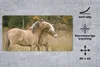 MuchoWow® Schreibtischunterlage Zwei kuschelnde Fjordpferde Produktbild-Vorschau 2