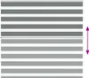 Möbel Zebrarollo Dunkelgrau 160x150cm Stoffbreite 155,9 cm Produktbild-Vorschau 5