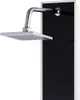 vidaXL Duschpaneel Glas 18×42,1×120 cm Schwarz Produktbild-Vorschau 3