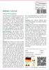 SAFLAX - Kräuter - Süßholz / Lakritze - 30 Samen - Mit Produktbild-Vorschau 3