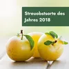 Meine Orangerie - Zwergobst Stämmchen Pflaume - gelbe Produktbild-Vorschau 3