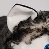 2 in 1 großes Plüschtier Kissen Husky mit Klettverschluss Produktbild-Vorschau 8