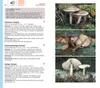 Der große BLV Pilzführer Produktbild-Vorschau 6