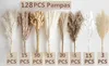 Bouquet di erba pampa essiccata 128 PCS per matrimoni e Anteprima dell’immagine prodotto 3