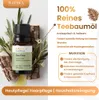 Teebaumöl, ätherisches Öl, 100% Rein, BIO, natürlich, 10 ml Produktbild-Vorschau 2