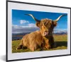MuchoWow® MuchoWow® Gerahmtes Poster Schottische Produktbild-Vorschau 1