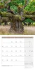 Bäume Kalender 2027 - 30x30 - Art12 Produktbild-Vorschau 15