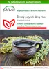 SAFLAX - Čínský pelyněk Qing Hao - Artemisia annua - 250 Náhled obrázku produktu 1