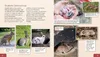 Meine große Tierbibliothek: Das Kaninchen Produktbild-Vorschau 5