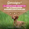 EUKANUBA Grain Free Adult z Jagnięciną 12kg Sucha Karma Dla Podgląd zdjęcia produktu 5