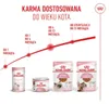 Royal Canin Kitten Jelly, Kotě, Kuřecí maso, 85 g Náhled obrázku produktu 26