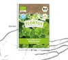 Winterportulak Postelein |  Portulaksamen von FLORTUS Produktbild-Vorschau 4