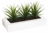 Atmosphera Créateur d'intérieur künstliche Aloe vera 3 Stk. Produktbild-Vorschau 1