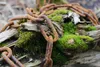 vitaliano rostige Stahlkette Gliederkette Meterware, 1 Produktbild-Vorschau 4