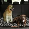 Domarex Wasserdichtes XL Hundebett 100x70x5 cm – Robustes Produktbild-Vorschau 2