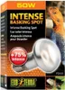 Ampoule Exo Terra Intense Basking Spot 50W Voir les images du produit 4