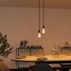 SSC-LUXon PARU Pendelleuchte Vintage 2-flammig in schwarz - Produktbild-Vorschau 2