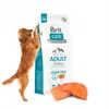 A golden retriever dog is standing on its hind legs next to a bag of Brit Care dog food. Two pieces of salmon are in the foreground. Náhled obrázku produktu