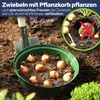 Pflanzkorb Pflanzkörbe für Zwiebelpflanzen Ø22 cm, Menge:12 Produktbild-Vorschau 2