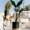 Two potted plants are displayed on rustic wooden tables on a patio, with outdoor furniture in the background. Náhľad obrázku produktu