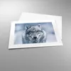 Poster - Poster ohne Rahmen - Wolf Raubtier Wildheit - Produktbild-Vorschau 3