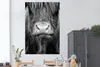 MuchoWow® Poster Schottischer Highlander - Haare - Tiere Produktbild-Vorschau 2
