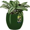 KOTARBAU® Blumentopf Keramik rund ⌀ 21 cm  Höhe: 22 cm Grün Produktbild-Vorschau 1