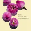 Huile Lotus Clarins 30 ml Voir les images du produit 6