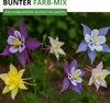 Akelei Mrs. Scott Elliot Mix Samen - Aquilegia x hybrida - Produktbild-Vorschau 7