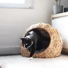 UNUS® Katzenkorb mit Kissen Katzenbett Hundebett Hundekorb Produktbild-Vorschau 2