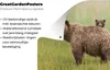 MuchoWow® Produktbild-Vorschau 4