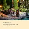 Blumfeldt Mystic Tree Solarbrunnen, inkl. Solarpanel, Produktbild-Vorschau 3