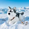 Velký plyšový pes husky s postrojem 60 cm ECO-FRIENDLY Náhled obrázku produktu 6
