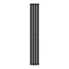 Radiateur tubulaire 'Nore' noir 160x24cm monocouche 438W Voir les images du produit 3