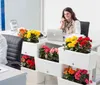 A woman is on the phone at her desk, surrounded by potted plants. Anteprima dell’immagine prodotto