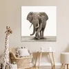 MuchoWow® Poster Elefant - Kinder - Tiere - Mädchen 100x100 Produktbild-Vorschau 7