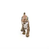 Papo 50241, Lynx Luchs, Spiel, Mehrfarbig Produktbild-Vorschau 5