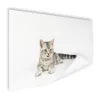 MuchoWow® Poster Kitten - Weiß - Sohle - Mädchen - Kinder - Produktbild-Vorschau 1