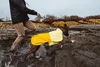Ruffwear Regenjacke Sun Shower™ Jacket Mineral Yellow Produktbild-Vorschau 14