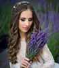 BALDUR Garten 1x Winterharter Lavendel Phenomenal®, Pflanze Produktbild-Vorschau 5